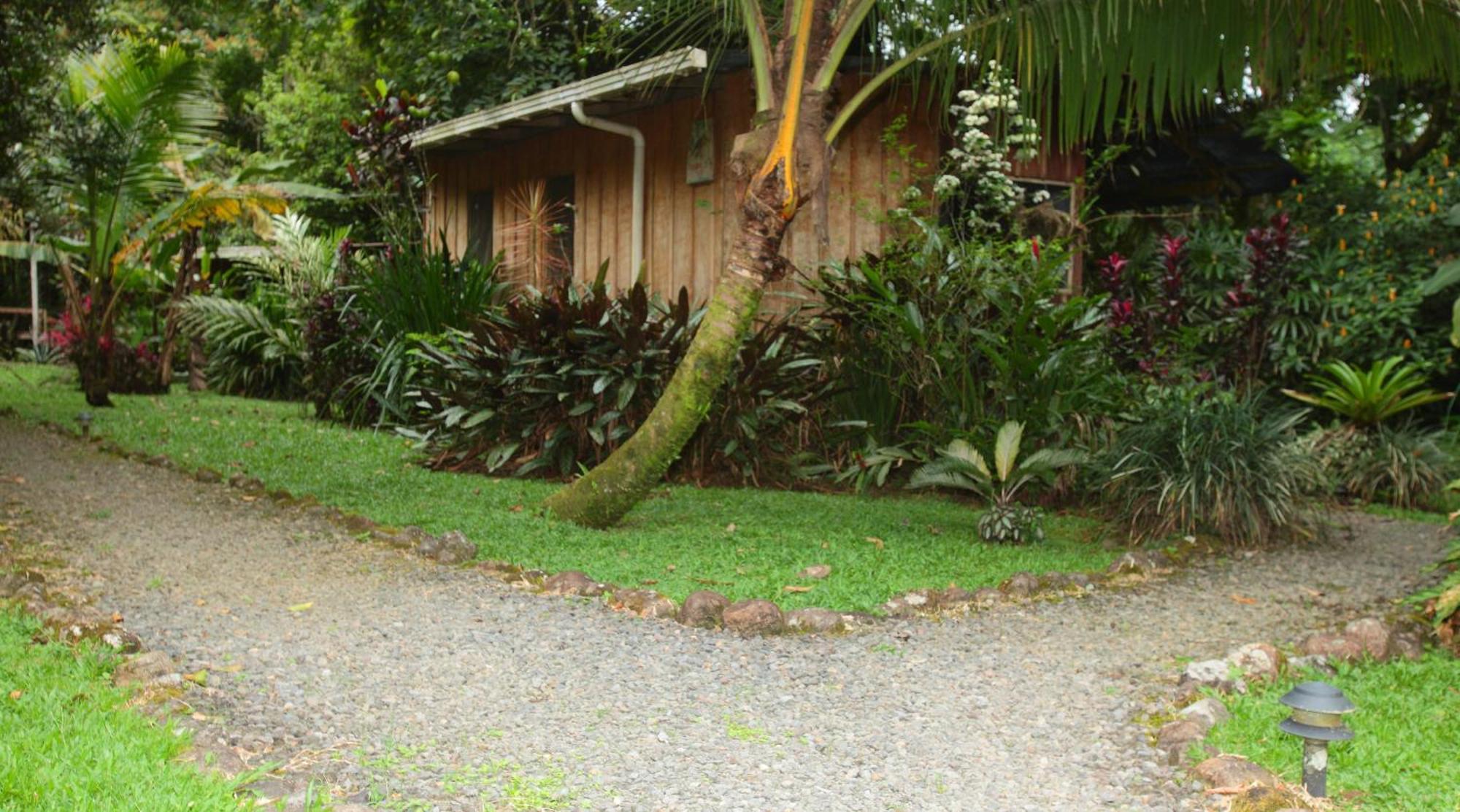 Casa Rio Blanco Eco Friendly B&B Guapiles Ngoại thất bức ảnh