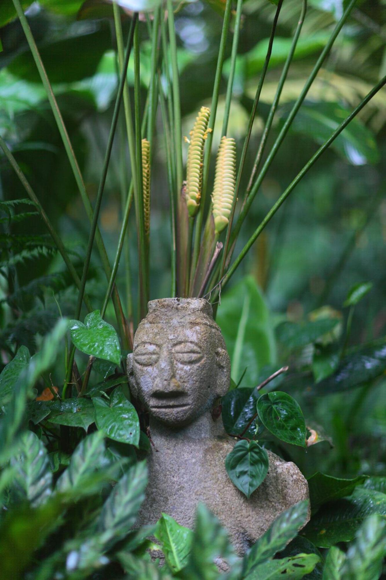 Casa Rio Blanco Eco Friendly B&B Guapiles Ngoại thất bức ảnh