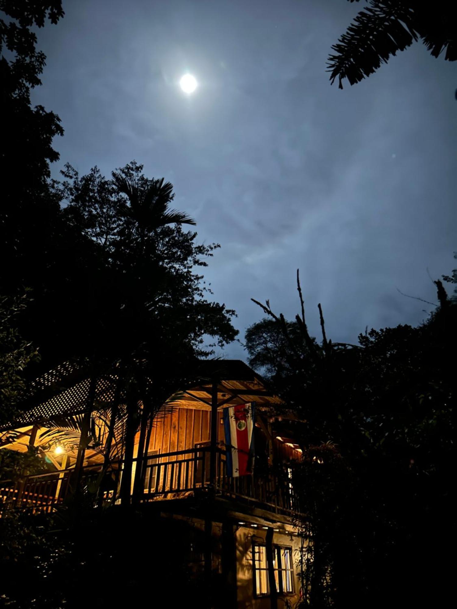 Casa Rio Blanco Eco Friendly B&B Guapiles Ngoại thất bức ảnh
