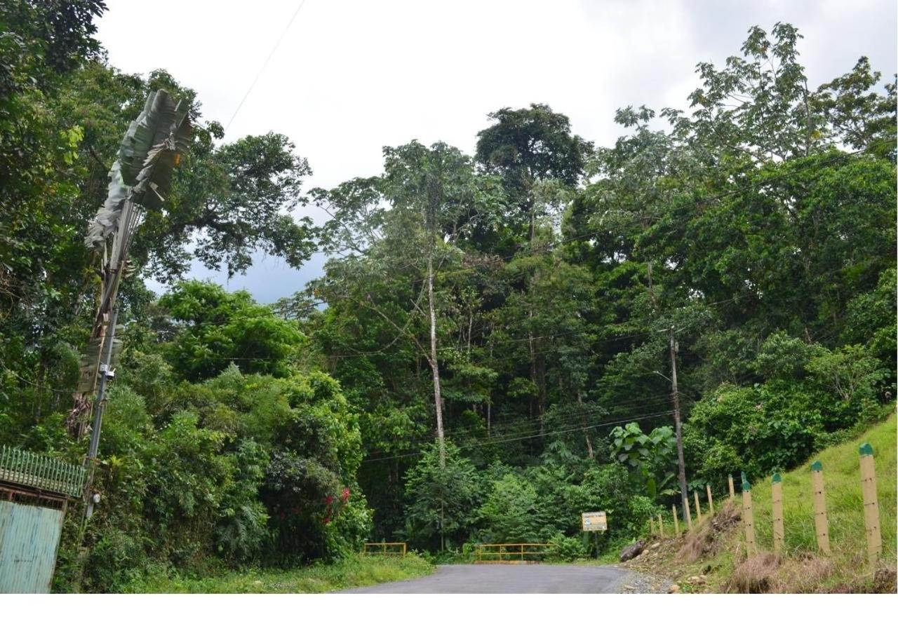 Casa Rio Blanco Eco Friendly B&B Guapiles Ngoại thất bức ảnh