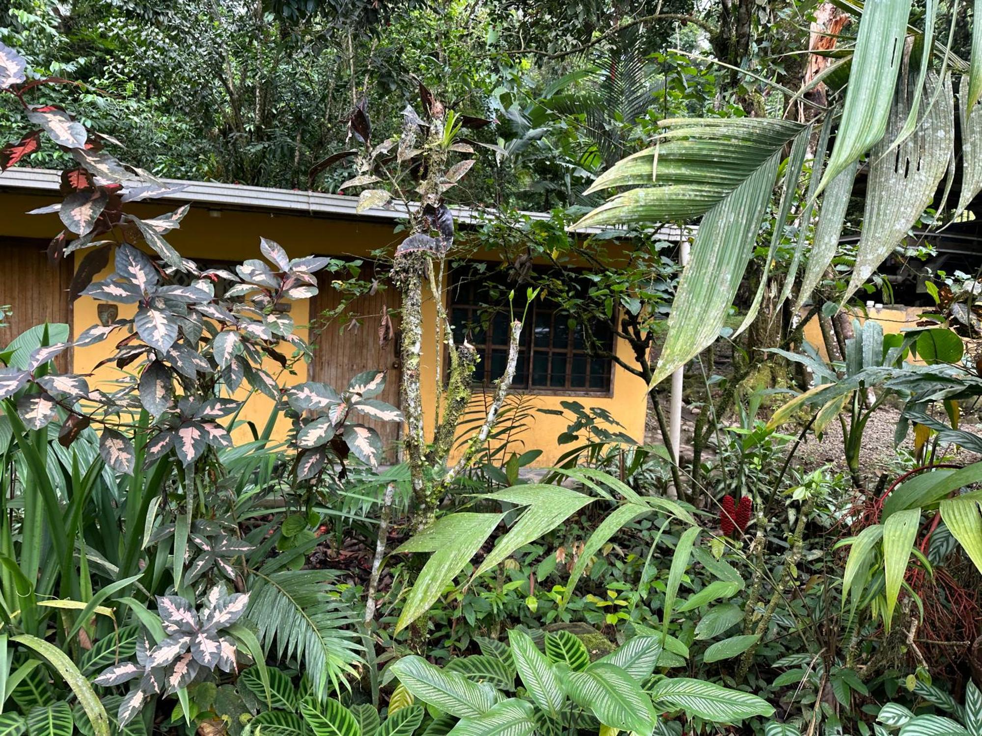 Casa Rio Blanco Eco Friendly B&B Guapiles Ngoại thất bức ảnh