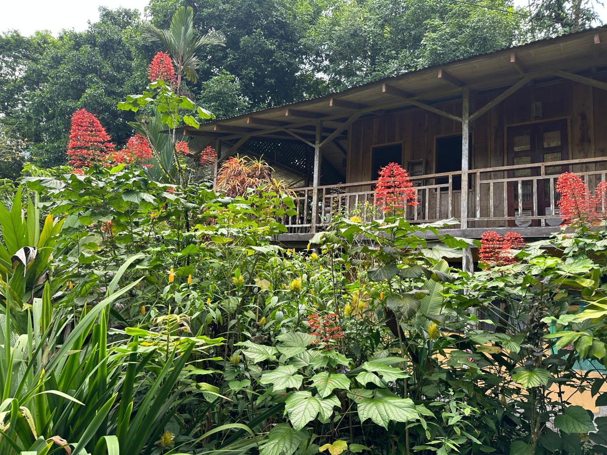 Casa Rio Blanco Eco Friendly B&B Guapiles Ngoại thất bức ảnh