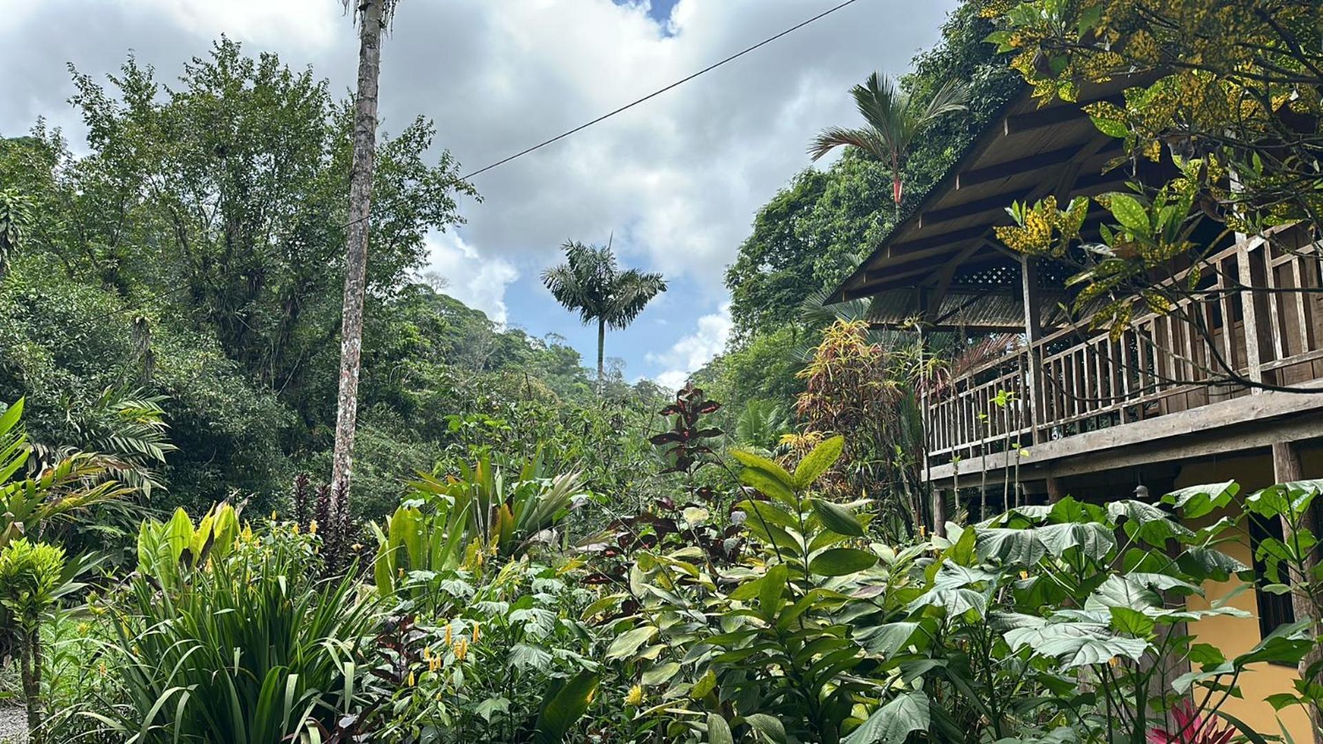 Casa Rio Blanco Eco Friendly B&B Guapiles Ngoại thất bức ảnh