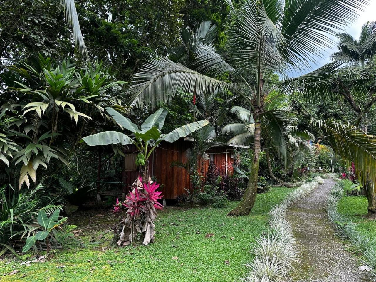 Casa Rio Blanco Eco Friendly B&B Guapiles Ngoại thất bức ảnh