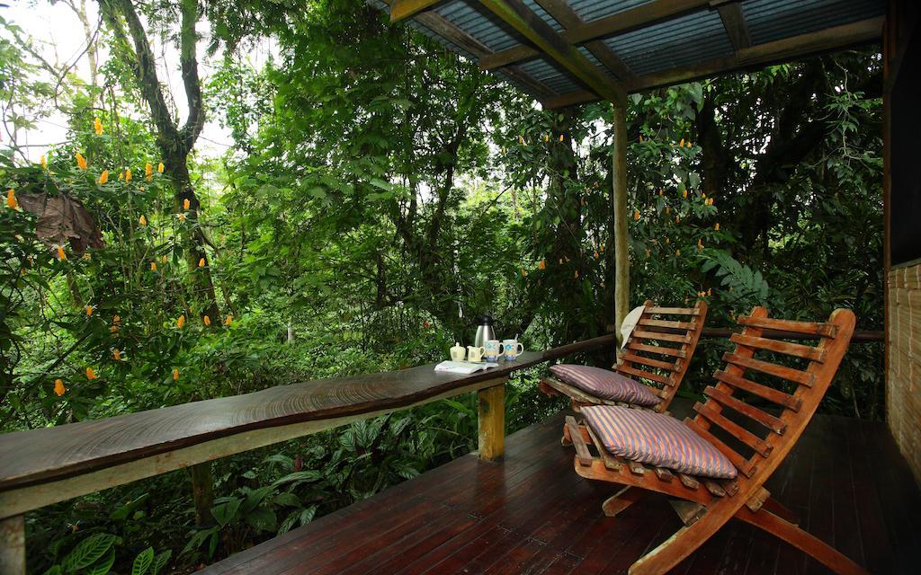 Casa Rio Blanco Eco Friendly B&B Guapiles Ngoại thất bức ảnh